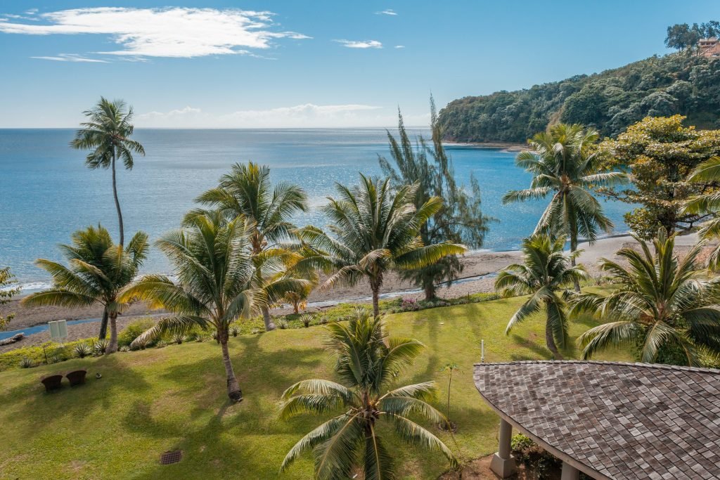 Ocean View - Tahiti Pearl Beach Resort